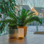 Een tafellamp van Dorsetto naast planten op tafel